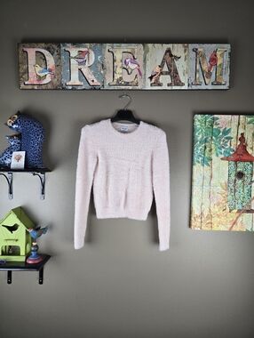 Aritzia Sunday Best Fuzzy Sweater Small